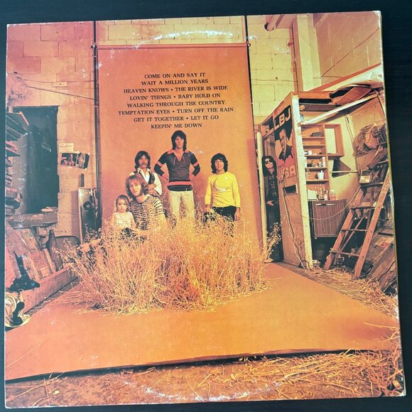 Grass Roots - More Golden Grass, Their Greatest Hits - Vinyl - Picture 2 of 5